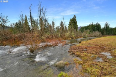 Authentic & Quintessential McKenzie Valley retreat on quiet on Tokatee Golf Club in Oregon - for sale on GolfHomes.com, golf home, golf lot