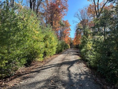 This is a unique opportunity to purchase a large, secluded lot on Skyland Lakes Golf Course in Virginia - for sale on GolfHomes.com, golf home, golf lot