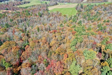 This is a unique opportunity to purchase a large, secluded lot on Skyland Lakes Golf Course in Virginia - for sale on GolfHomes.com, golf home, golf lot