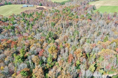 This is a unique opportunity to purchase a large, secluded lot on Skyland Lakes Golf Course in Virginia - for sale on GolfHomes.com, golf home, golf lot