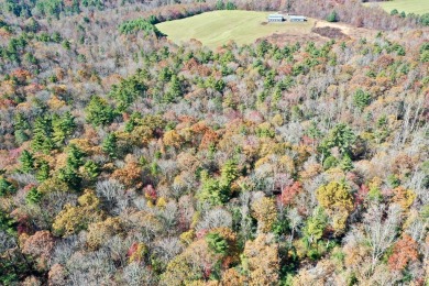 This is a unique opportunity to purchase a large, secluded lot on Skyland Lakes Golf Course in Virginia - for sale on GolfHomes.com, golf home, golf lot