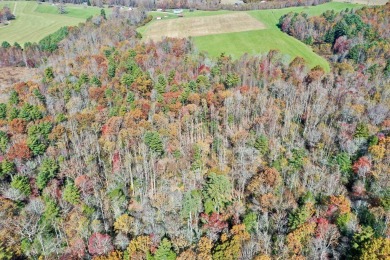 This is a unique opportunity to purchase a large, secluded lot on Skyland Lakes Golf Course in Virginia - for sale on GolfHomes.com, golf home, golf lot