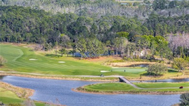 Welcome to 6921 Cupseed Ln in the Birchwood community, nestled on Harmony Golf Preserve in Florida - for sale on GolfHomes.com, golf home, golf lot