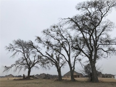 Beautiful .35 acre lot in prestigious subdivision! Golf course on The Bridges Golf Club in Texas - for sale on GolfHomes.com, golf home, golf lot