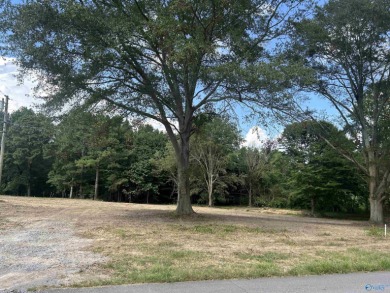 Your dream home awaits on this *ready to build* 3.7 acres on Brookside Golf Course in Alabama - for sale on GolfHomes.com, golf home, golf lot