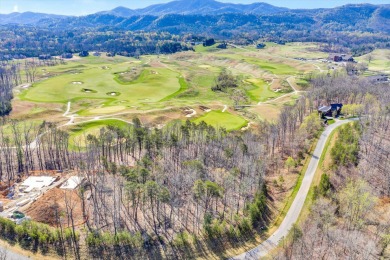 Don't pass up this opportunity to own over an acre of prime real on Ballyhack Golf Club in Virginia - for sale on GolfHomes.com, golf home, golf lot