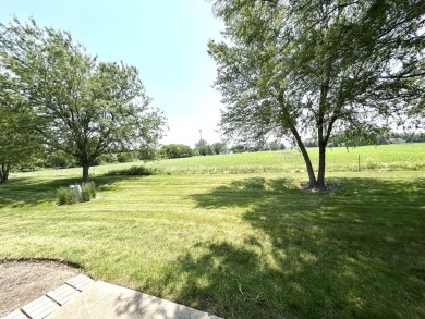 Buyers will fall in love with this beautiful *Ellison* model on Carillon Lakes 3 Hole Course in Illinois - for sale on GolfHomes.com, golf home, golf lot