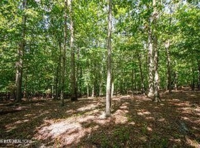 Nestled within an exclusive golf community, this stunning lot on Tennessee National Golf Club in Tennessee - for sale on GolfHomes.com, golf home, golf lot