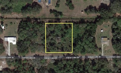 Come build your forever home on this beautiful one acre on Indian Lake Estates Golf and Country Club in Florida - for sale on GolfHomes.com, golf home, golf lot