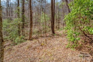Wonderful private lot in Champion Hills.  205 Claridge Way is on Champion Hills Club, Inc. in North Carolina - for sale on GolfHomes.com, golf home, golf lot