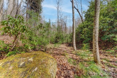 Wonderful private lot in Champion Hills.  205 Claridge Way is on Champion Hills Club, Inc. in North Carolina - for sale on GolfHomes.com, golf home, golf lot