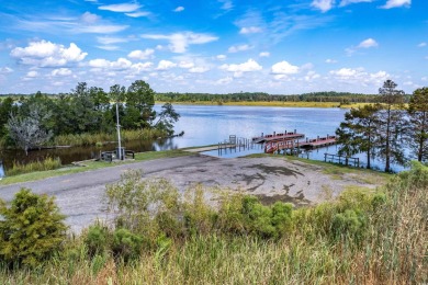 Welcome to your dream home in the heart of Wedgefield Plantation on Wedgefield Plantation Golf Club in South Carolina - for sale on GolfHomes.com, golf home, golf lot