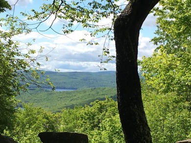 Single Lot on top of the Hill! Walk to the clubhouse from your on Hermitage Club Golf Course in Vermont - for sale on GolfHomes.com, golf home, golf lot