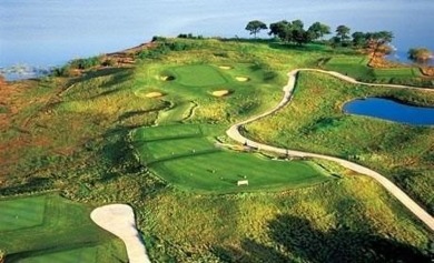 This American Legend built one story ranch home with backyard on The Tribute At the Colony in Texas - for sale on GolfHomes.com, golf home, golf lot