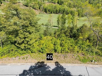 Waterfall Country Club-Golf Course frontage. 2 lots being sold on Waterfall Country Club in Georgia - for sale on GolfHomes.com, golf home, golf lot