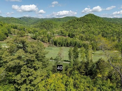 Waterfall Country Club-Golf Course frontage. 2 lots being sold on Waterfall Country Club in Georgia - for sale on GolfHomes.com, golf home, golf lot