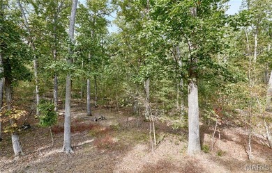 Escape to your own secluded wooded retreat! This completely on Innsbrook Resort Golf Course in Missouri - for sale on GolfHomes.com, golf home, golf lot