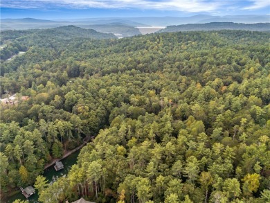 A rare find, lake front homesite, new Kroeger Marine dock and on The Cliffs At Keowee Vineyards Golf Club in South Carolina - for sale on GolfHomes.com, golf home, golf lot