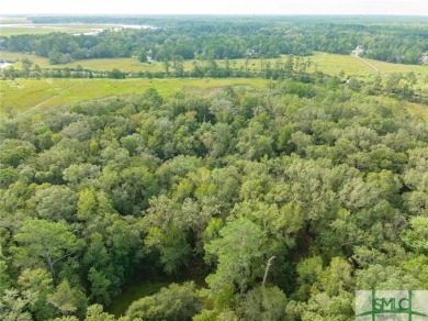 One-of-a-kind 10.5 acre, build-ready homesite within The Ford on The Ford Field and River Club  in Georgia - for sale on GolfHomes.com, golf home, golf lot