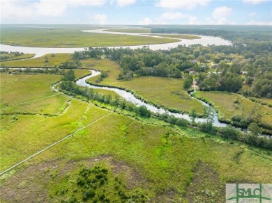 One-of-a-kind 10.5 acre, build-ready homesite within The Ford on The Ford Field and River Club  in Georgia - for sale on GolfHomes.com, golf home, golf lot