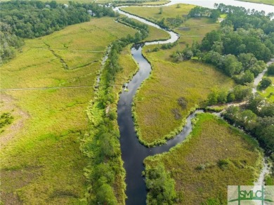 One-of-a-kind 10.5 acre, build-ready homesite within The Ford on The Ford Field and River Club  in Georgia - for sale on GolfHomes.com, golf home, golf lot