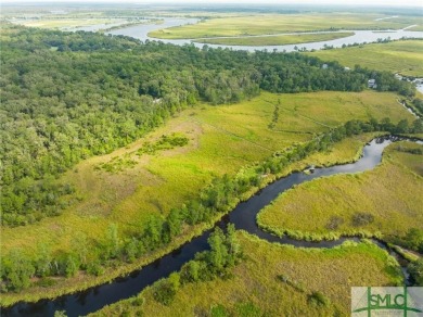 One-of-a-kind 10.5 acre, build-ready homesite within The Ford on The Ford Field and River Club  in Georgia - for sale on GolfHomes.com, golf home, golf lot