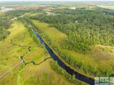 One-of-a-kind 10.5 acre, build-ready homesite within The Ford on The Ford Field and River Club  in Georgia - for sale on GolfHomes.com, golf home, golf lot