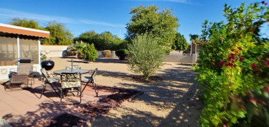 This lovely home in 55 and older community with back yard on PalmBrook Country Club in Arizona - for sale on GolfHomes.com, golf home, golf lot