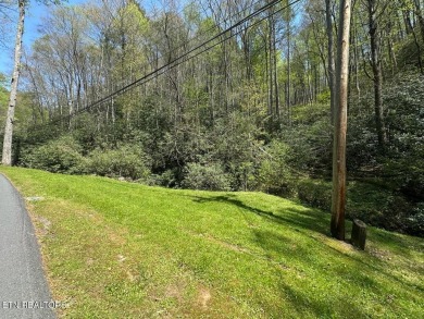 Discover this beautiful, untouched lot nestled in the serene on Bent Creek Golf Course in Tennessee - for sale on GolfHomes.com, golf home, golf lot