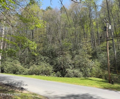 Discover this beautiful, untouched lot nestled in the serene on Bent Creek Golf Course in Tennessee - for sale on GolfHomes.com, golf home, golf lot