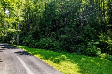 Discover this beautiful, untouched lot nestled in the serene on Bent Creek Golf Course in Tennessee - for sale on GolfHomes.com, golf home, golf lot