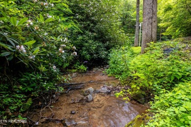 Discover this beautiful, untouched lot nestled in the serene on Bent Creek Golf Course in Tennessee - for sale on GolfHomes.com, golf home, golf lot