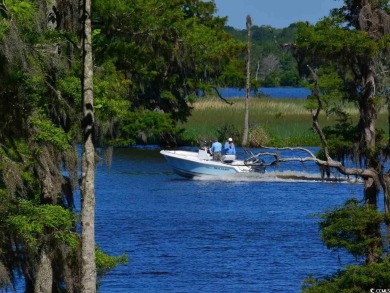 Location, Location, Location  - Centrally located in the heart on True Blue Plantation in South Carolina - for sale on GolfHomes.com, golf home, golf lot