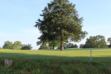 Tee Time is less than 5 minutes from your front door.  This on Holiday Hills Resort and Golf in Missouri - for sale on GolfHomes.com, golf home, golf lot