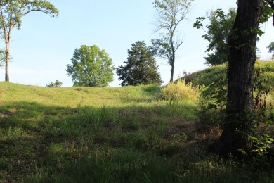 Tee Time is less than 5 minutes from your front door.  This on Holiday Hills Resort and Golf in Missouri - for sale on GolfHomes.com, golf home, golf lot