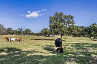 A *foot-in-the-door* opportunity awaits: 10 pristine acres in on Boot Ranch Golf Club in Texas - for sale on GolfHomes.com, golf home, golf lot