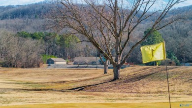 LIVE LIKE A PRO.. Personal residence OR Business...This 3 hole on De Soto Country Club in Alabama - for sale on GolfHomes.com, golf home, golf lot