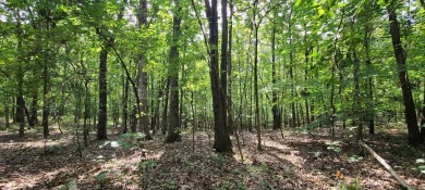 With hunting season officially here, we're excited to present on  in Arkansas - for sale on GolfHomes.com, golf home, golf lot