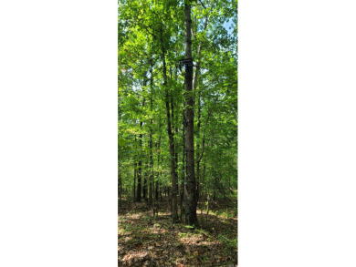 With hunting season officially here, we're excited to present on  in Arkansas - for sale on GolfHomes.com, golf home, golf lot