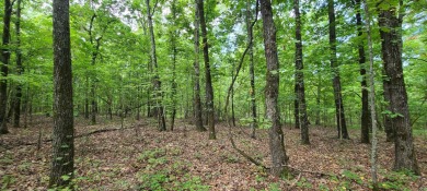 With hunting season officially here, we're excited to present on  in Arkansas - for sale on GolfHomes.com, golf home, golf lot