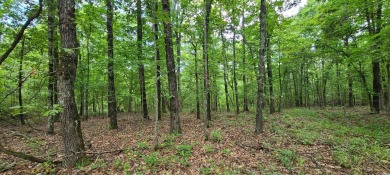 With hunting season officially here, we're excited to present on  in Arkansas - for sale on GolfHomes.com, golf home, golf lot