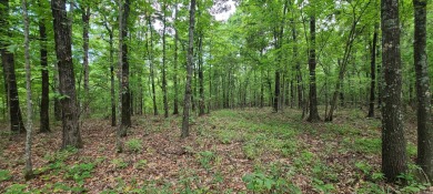 With hunting season officially here, we're excited to present on  in Arkansas - for sale on GolfHomes.com, golf home, golf lot