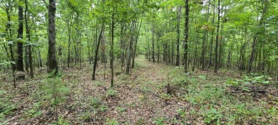 With hunting season officially here, we're excited to present on  in Arkansas - for sale on GolfHomes.com, golf home, golf lot