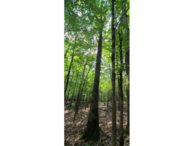 With hunting season officially here, we're excited to present on  in Arkansas - for sale on GolfHomes.com, golf home, golf lot