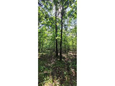 With hunting season officially here, we're excited to present on  in Arkansas - for sale on GolfHomes.com, golf home, golf lot
