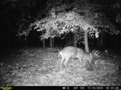 With hunting season officially here, we're excited to present on  in Arkansas - for sale on GolfHomes.com, golf home, golf lot