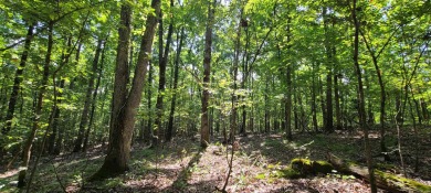 With hunting season officially here, we're excited to present on  in Arkansas - for sale on GolfHomes.com, golf home, golf lot