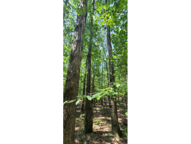 With hunting season officially here, we're excited to present on  in Arkansas - for sale on GolfHomes.com, golf home, golf lot