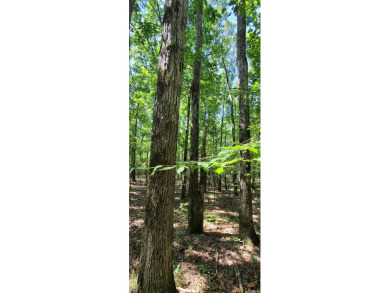 With hunting season officially here, we're excited to present on  in Arkansas - for sale on GolfHomes.com, golf home, golf lot
