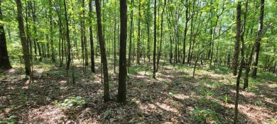 With hunting season officially here, we're excited to present on  in Arkansas - for sale on GolfHomes.com, golf home, golf lot